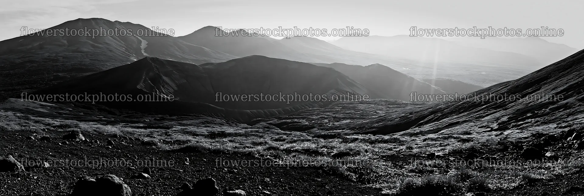 Light rays in Daisetsuzan alpine meadow at sunrise – flower stock photos 13690x4602