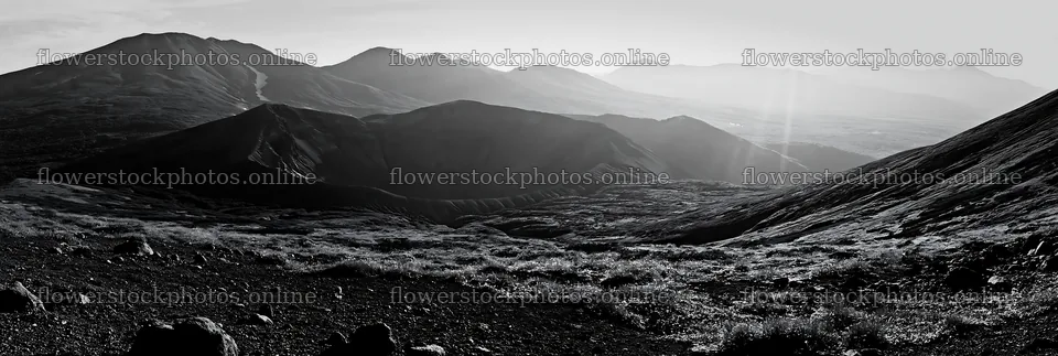 Light rays in Daisetsuzan alpine meadow at sunrise – flower stock photos 13690x4602
