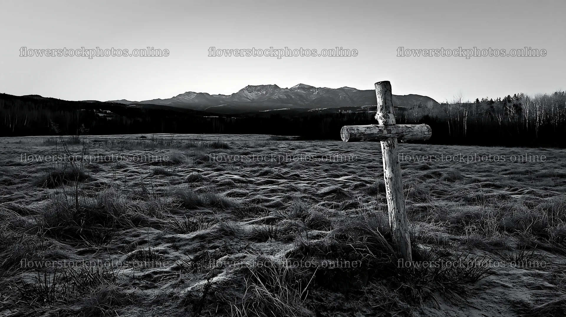 A wooden whitewashed cross stands in a winter meadow – flower stock photos 10608x5938