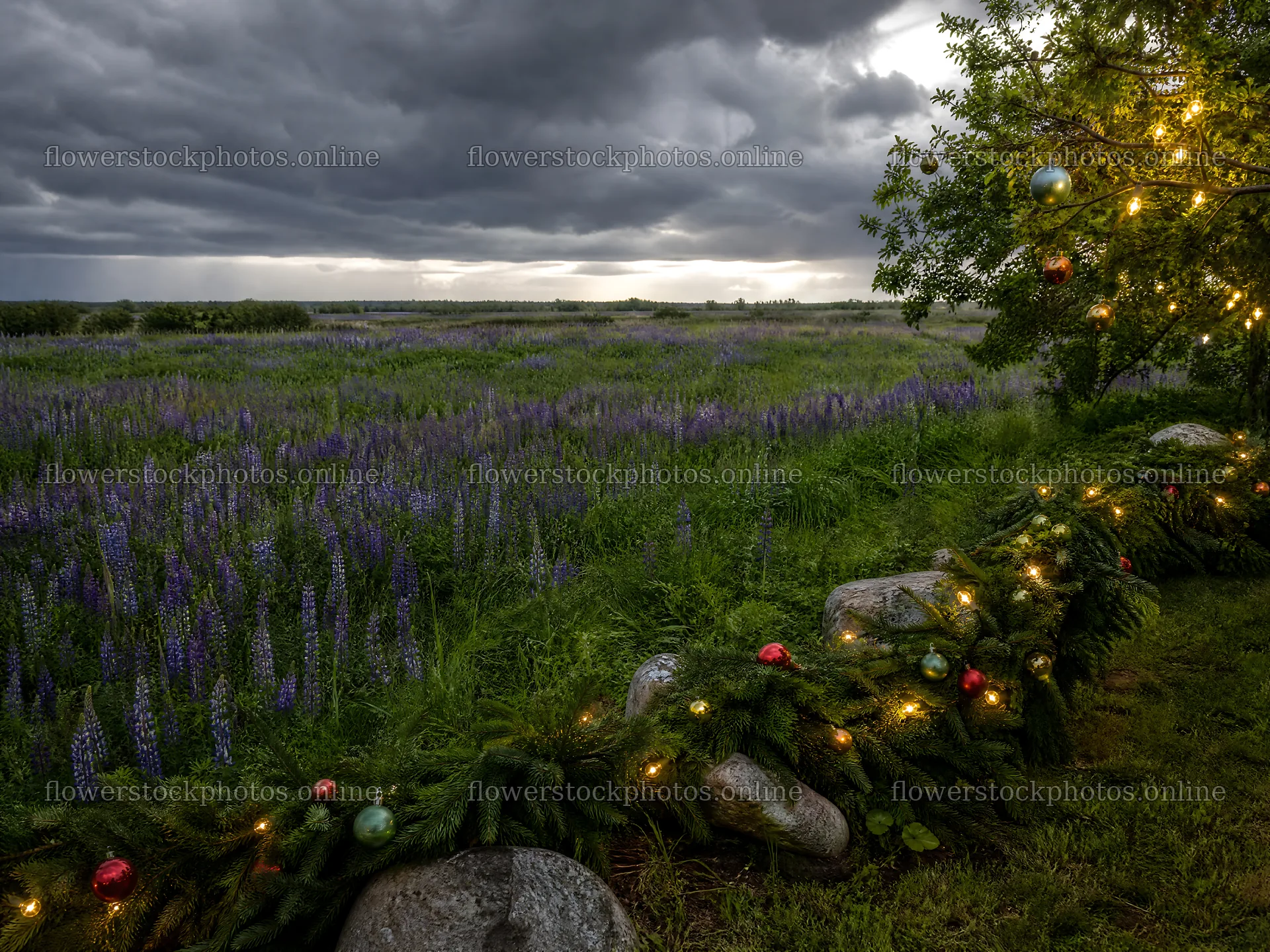 Vibrant Christmas garland curves across green meadow grass – flower stock photos 9166x6874